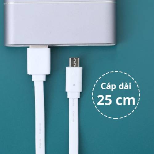 day-cap-micro-usb-025-m-eco